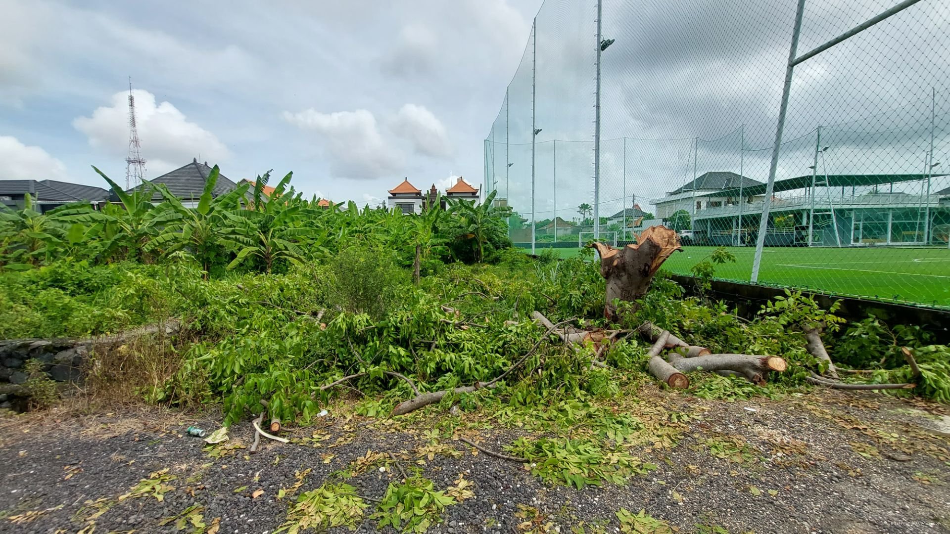 tanah badak agung renon