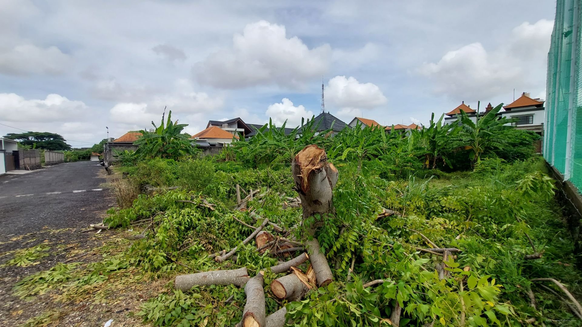 tanah badak agung renon