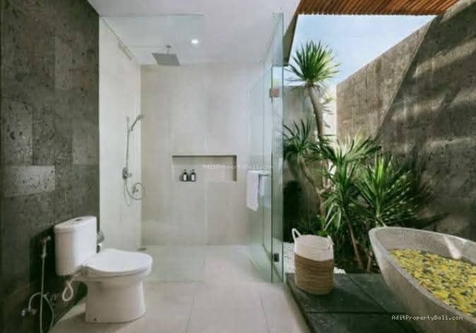 villa nelayan canggu