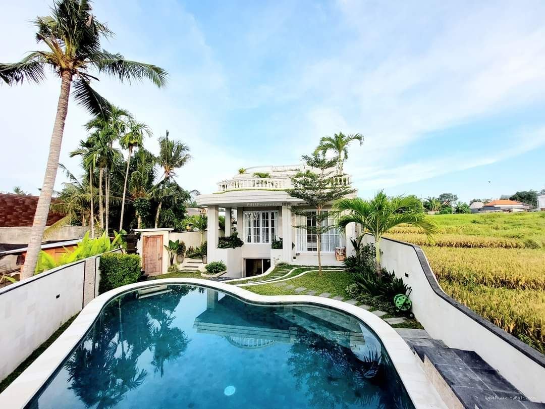 villa mewah view sawah pererenan