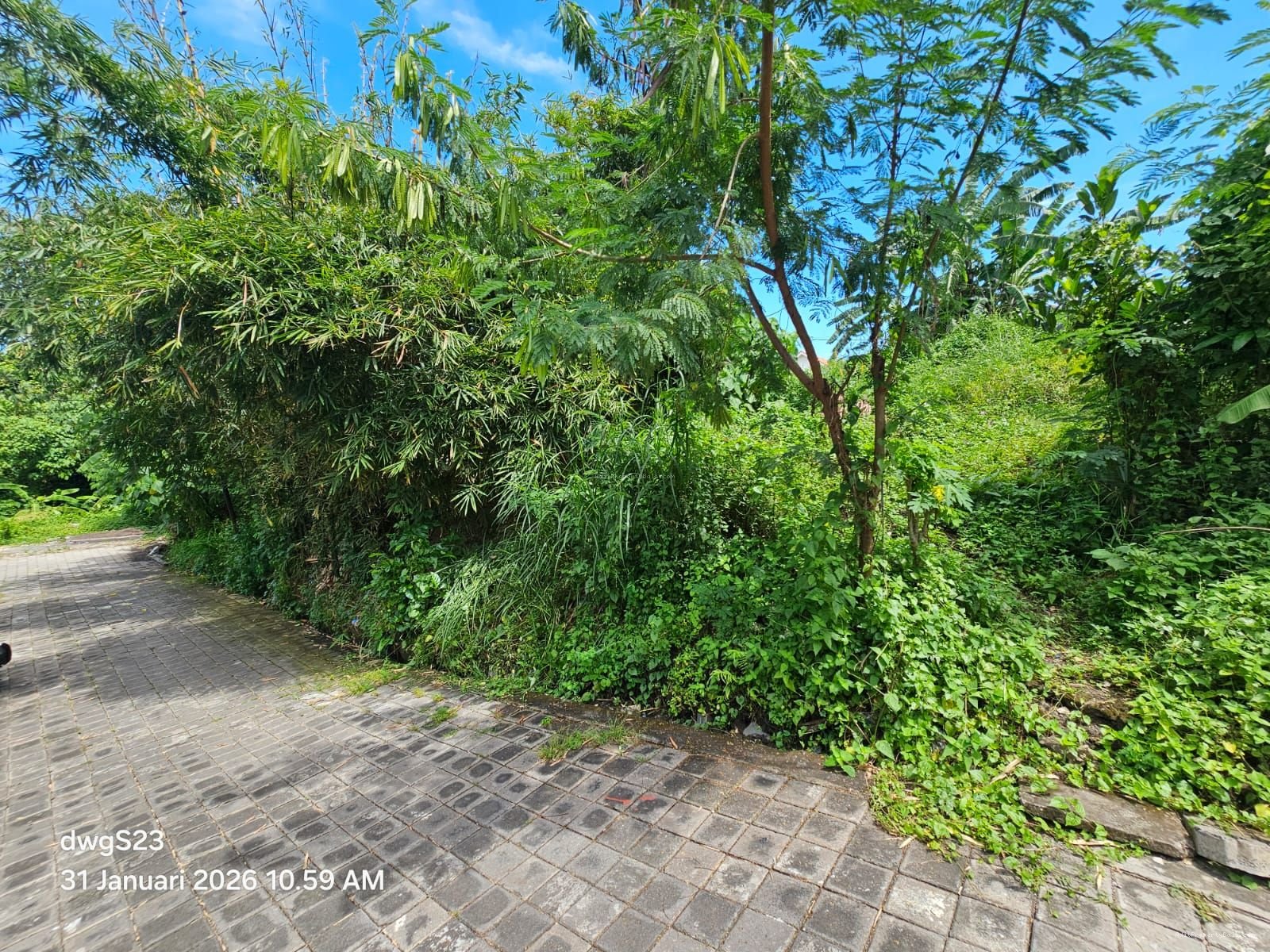 Tanah premium canggu