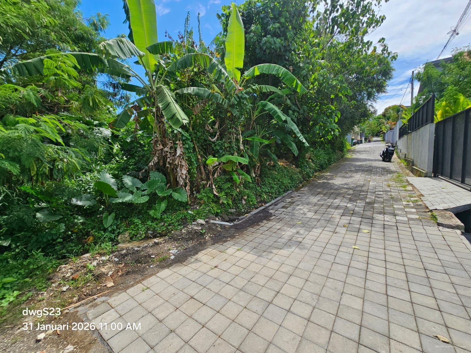 Tanah premium canggu