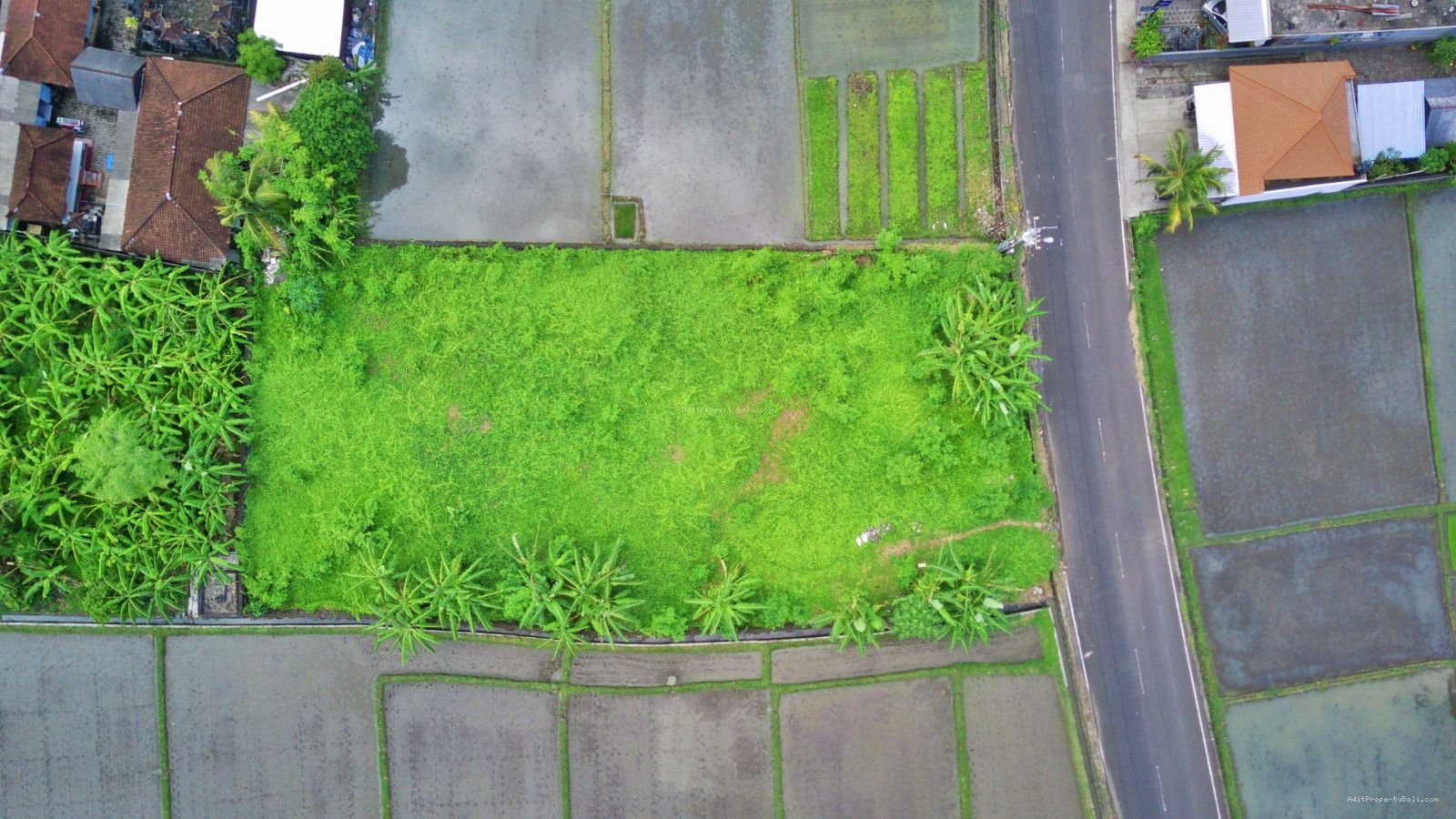 Tanah Pangkung tibah