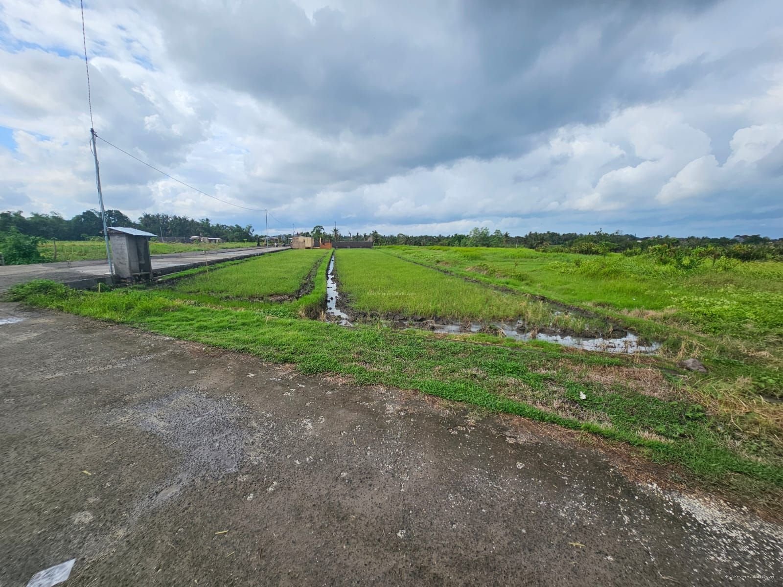 Tanah komersil kedungu