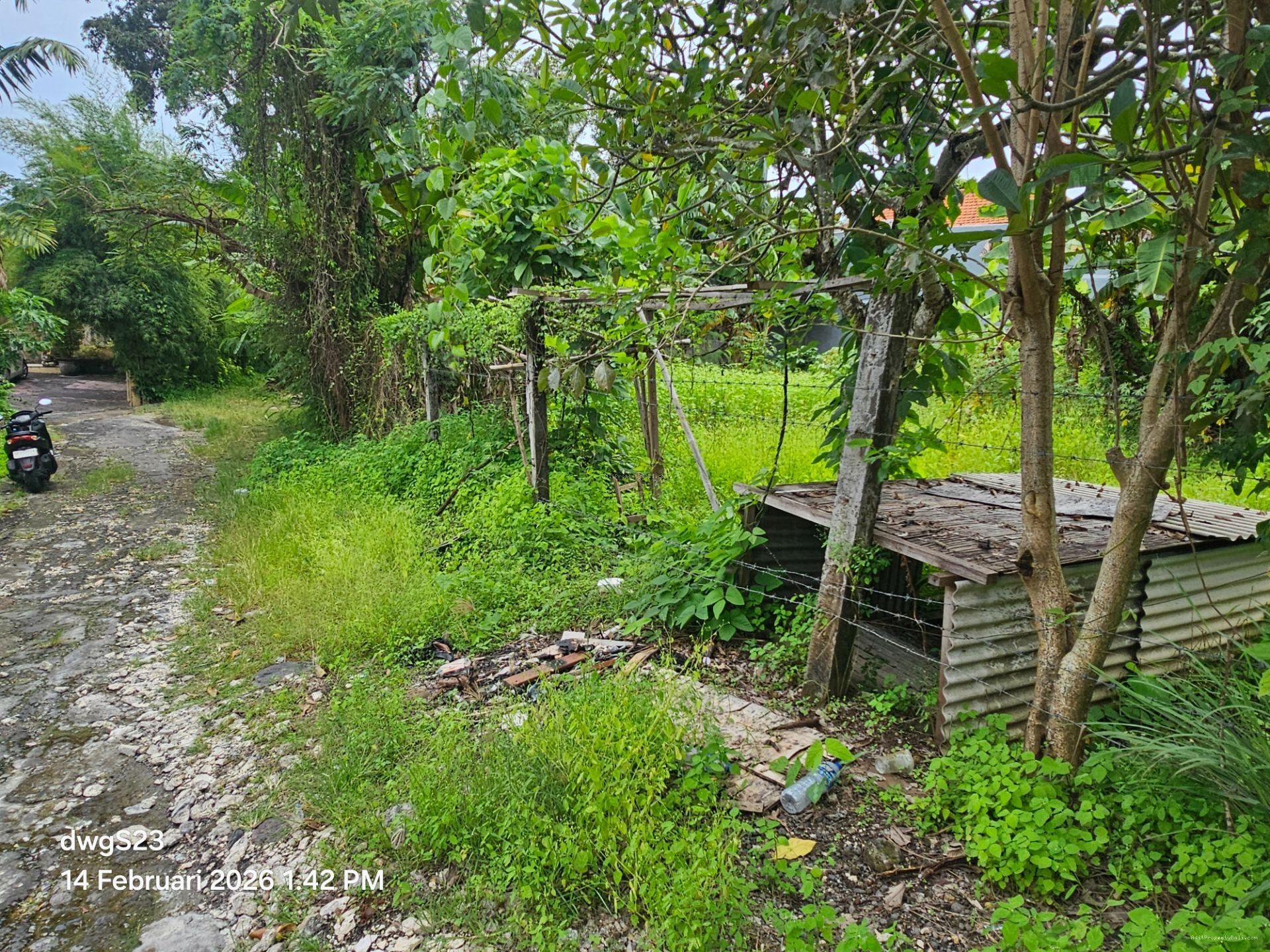 tanah umalas klecung