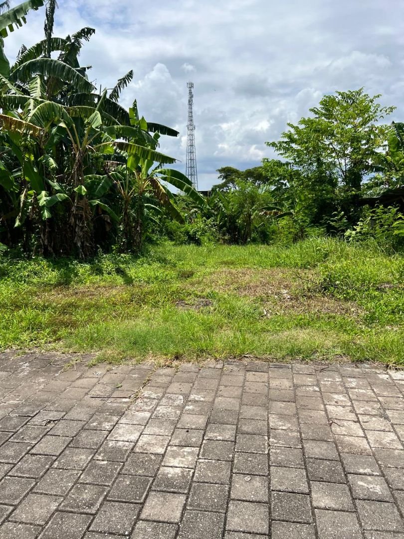 tanah nyanyi tabanan