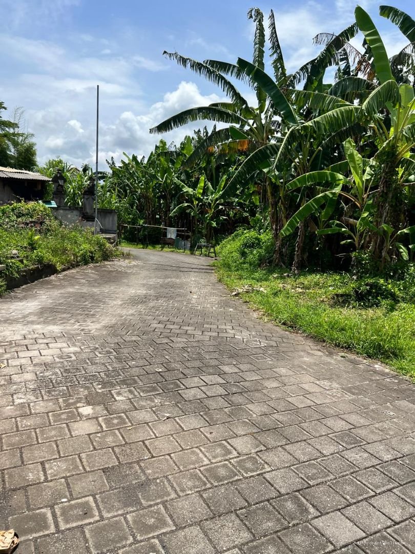 tanah nyanyi tabanan