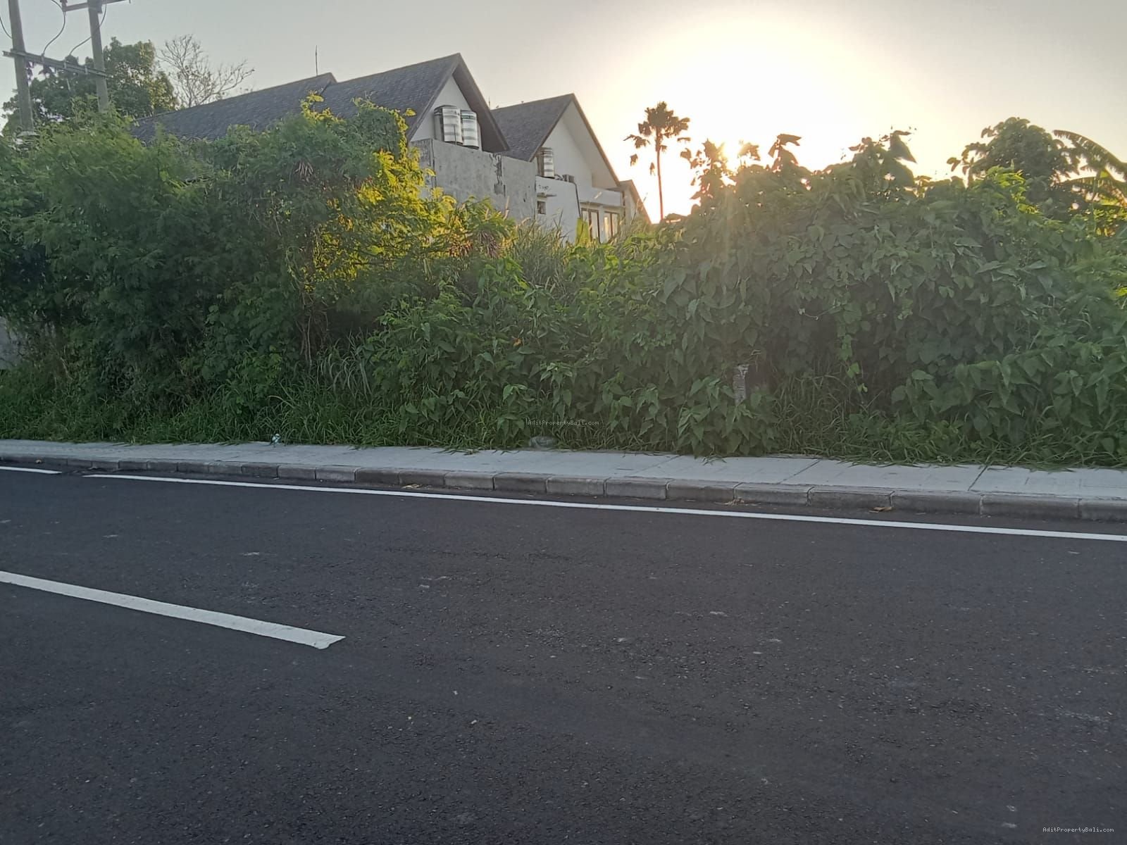 tanah premium cemagi bali