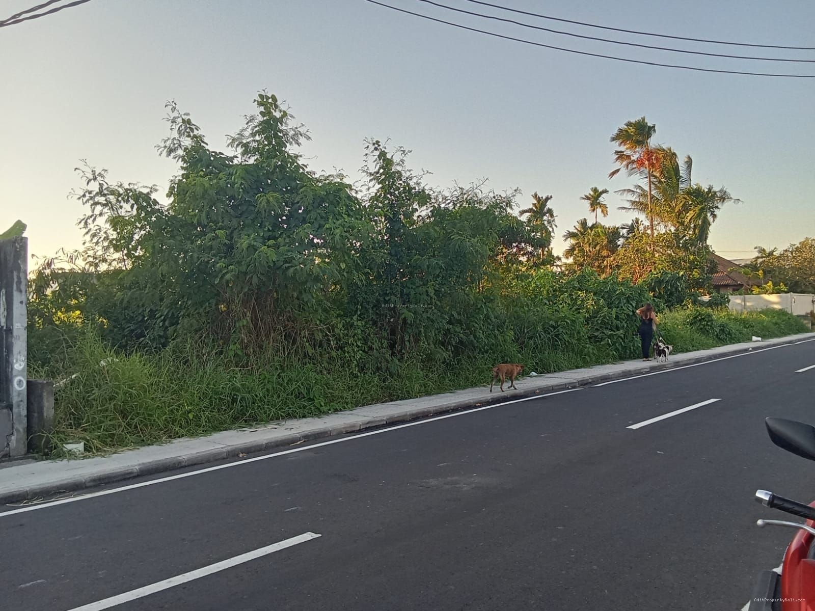 tanah premium cemagi bali