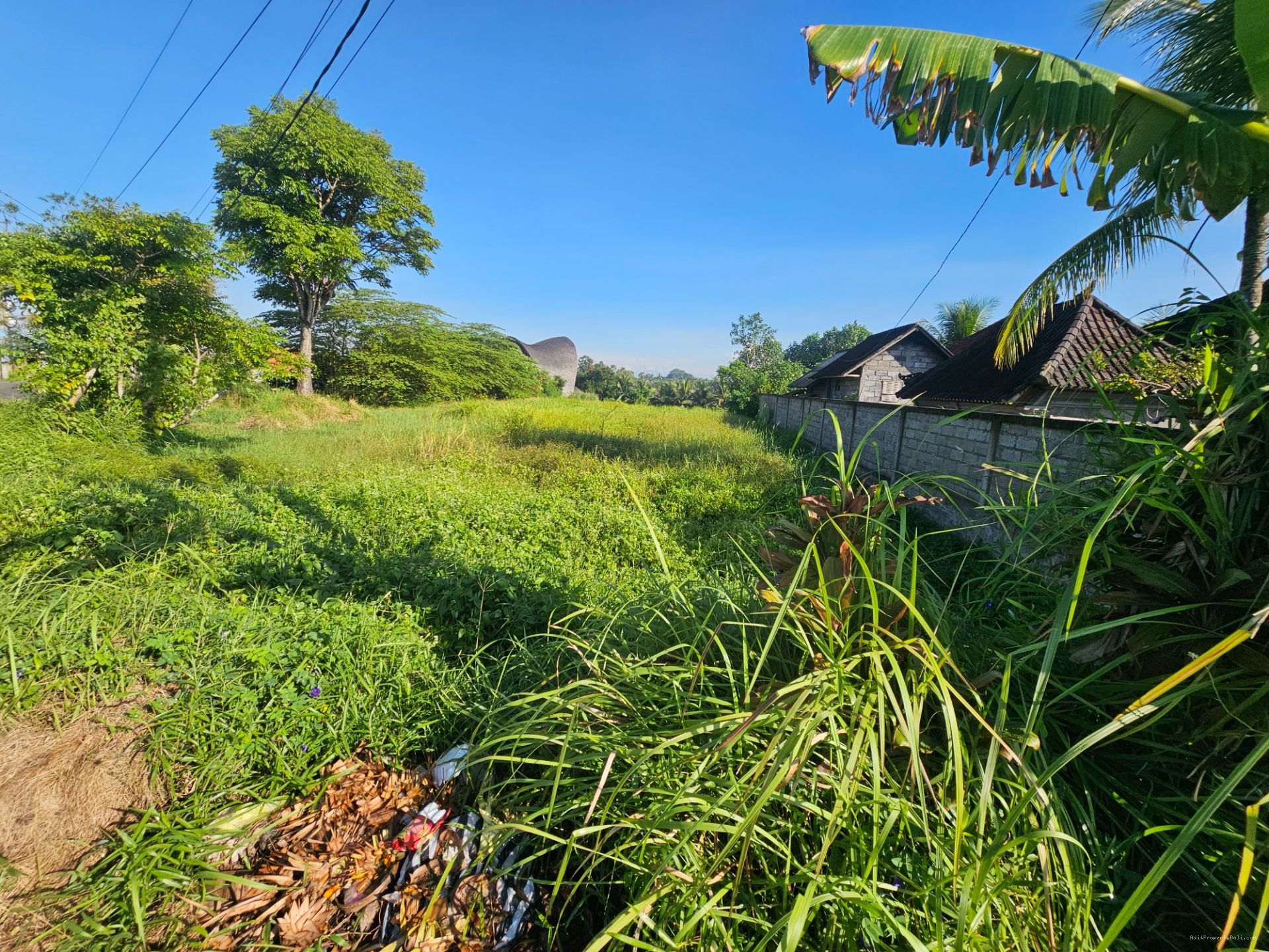 tanah buwit