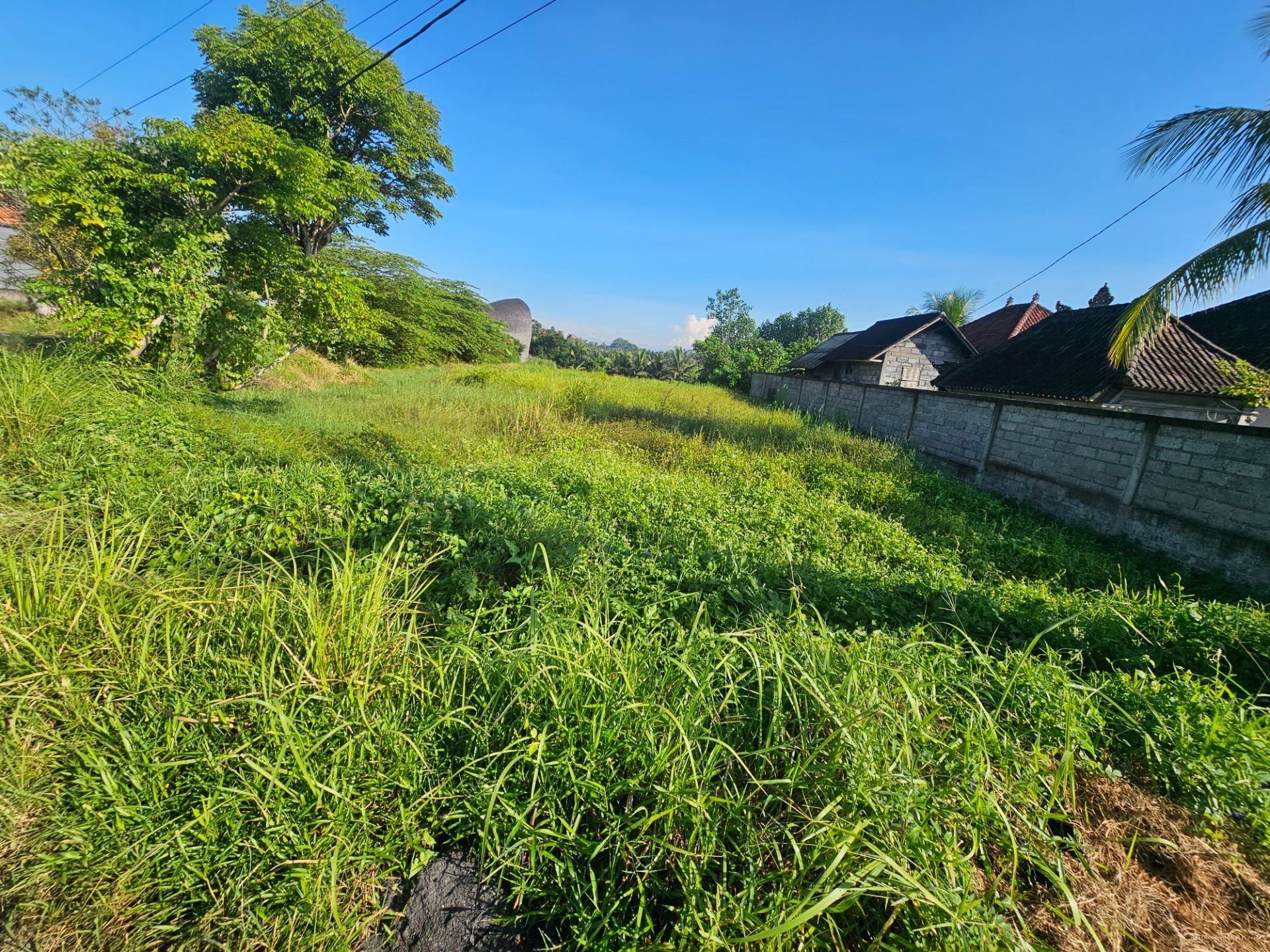 tanah buwit