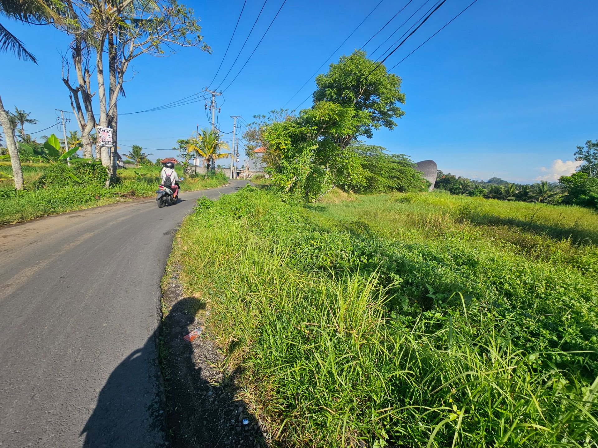 tanah buwit