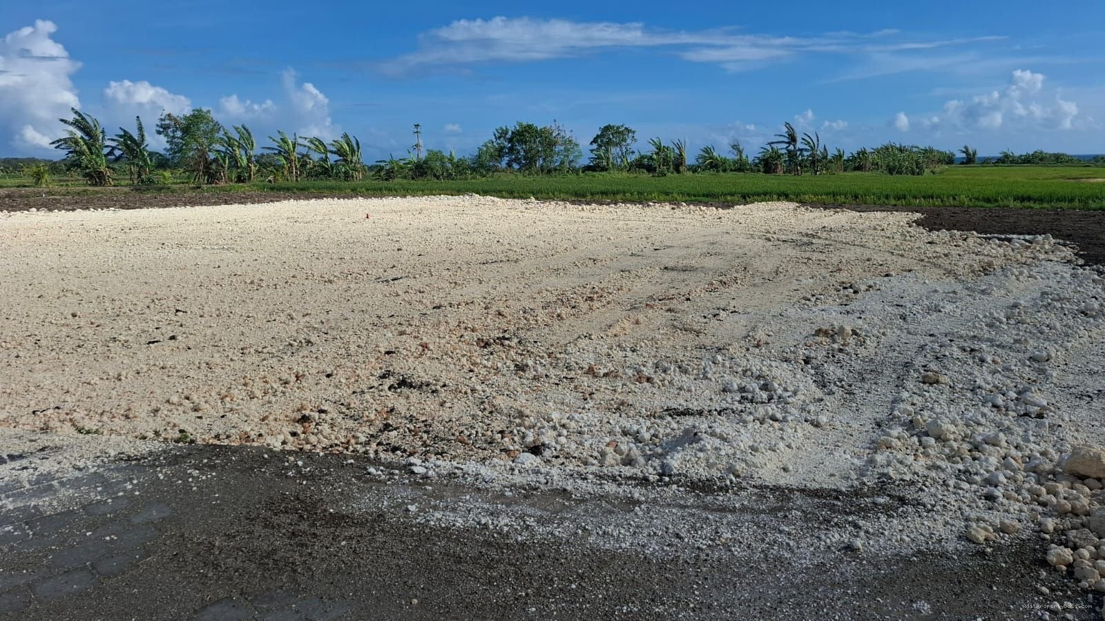 tanah pasut bali