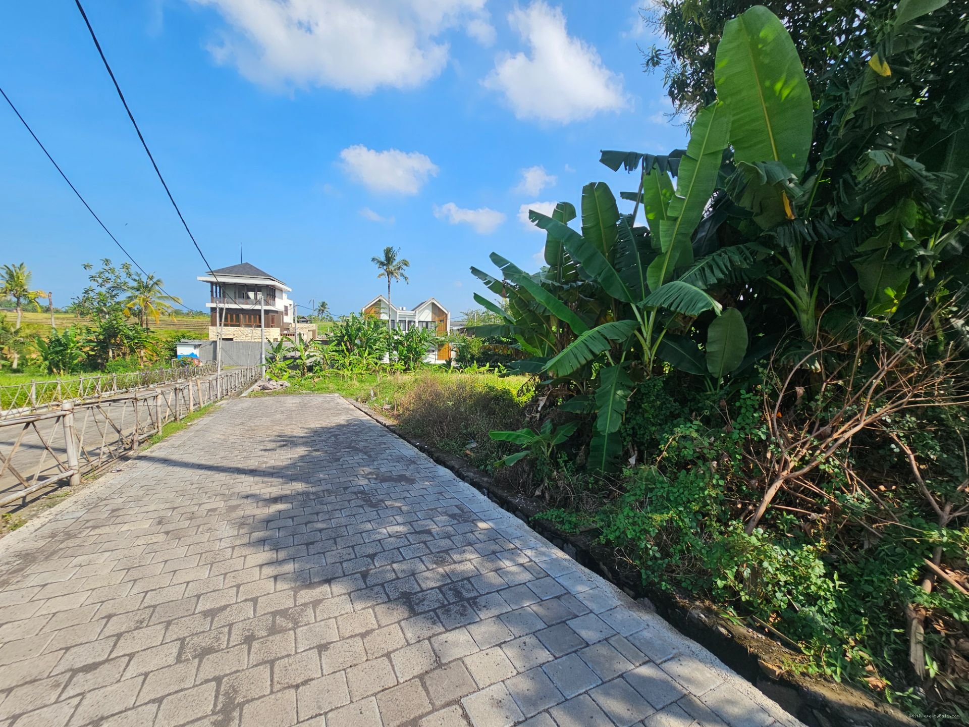 tanah tabanan nyanyi