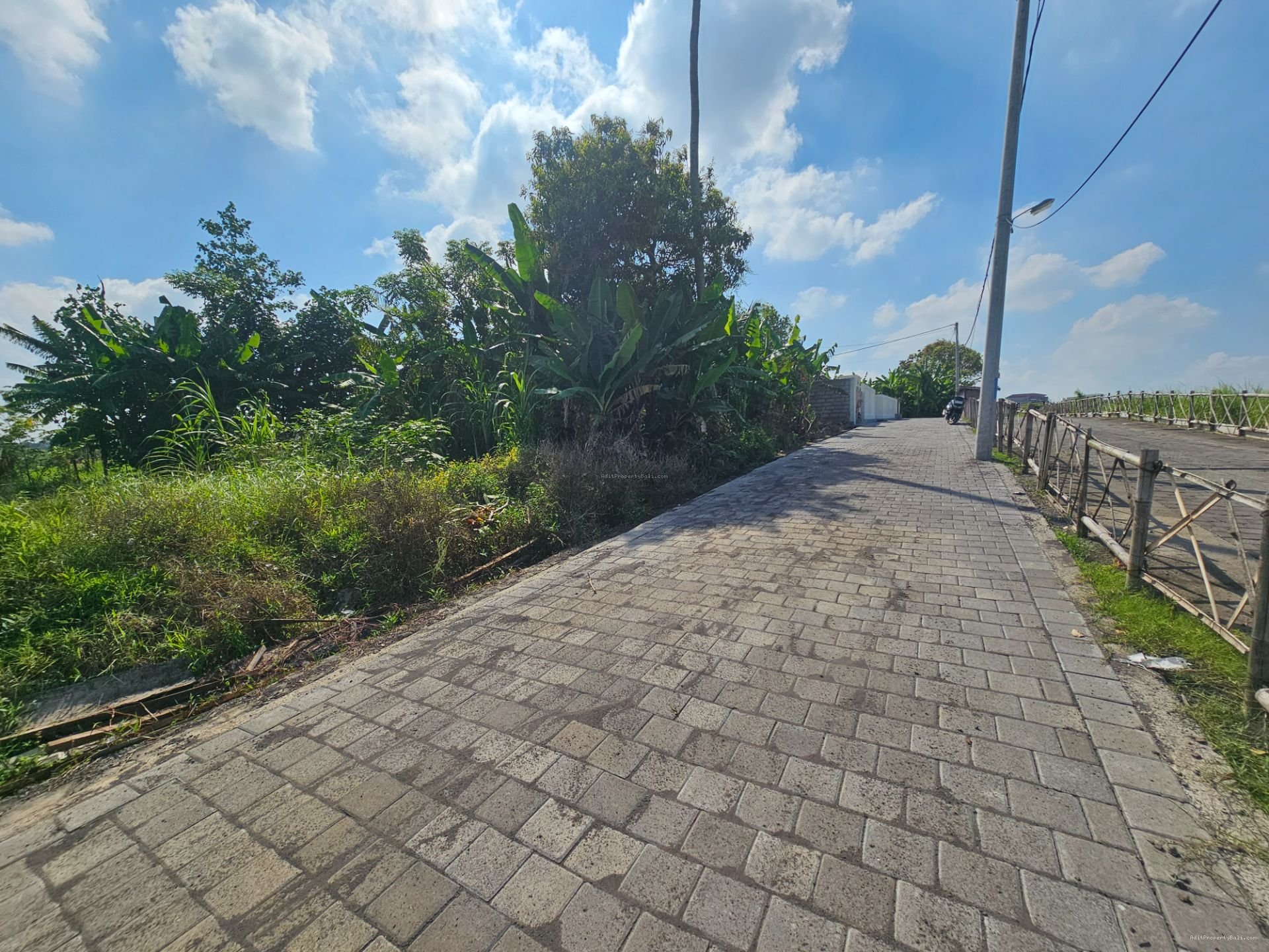 tanah tabanan nyanyi