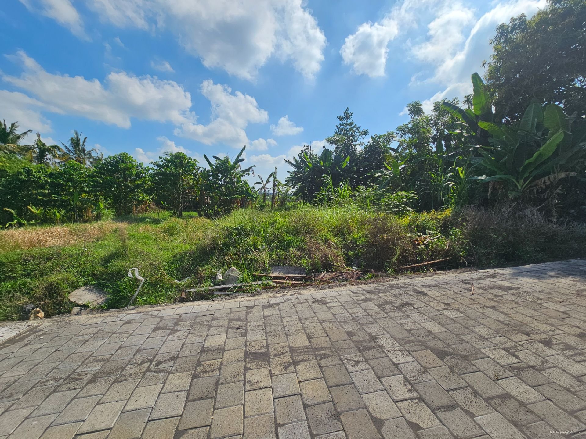 tanah tabanan nyanyi