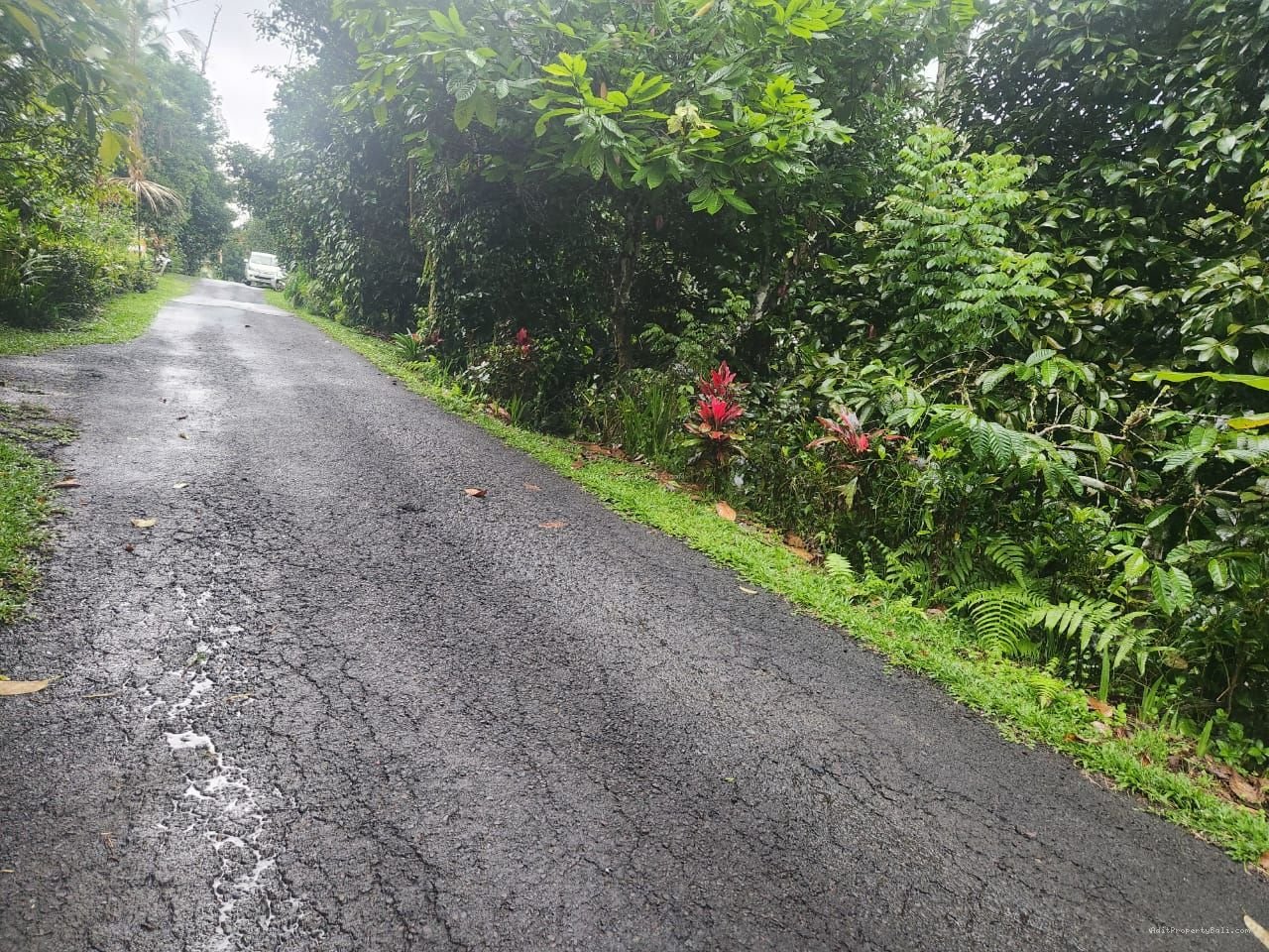 tanah antosari