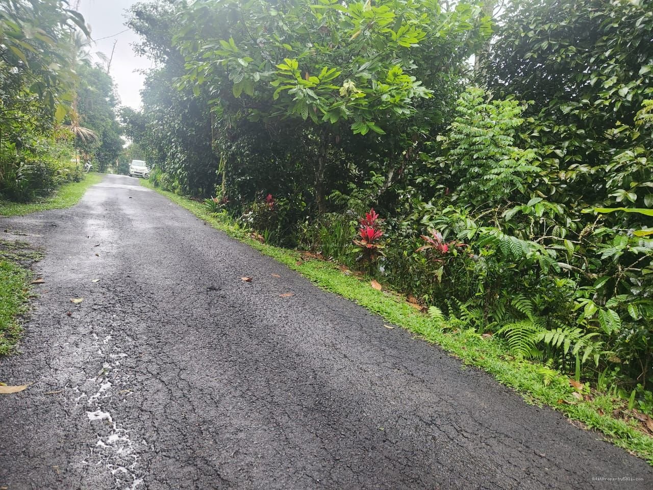 tanah antosari