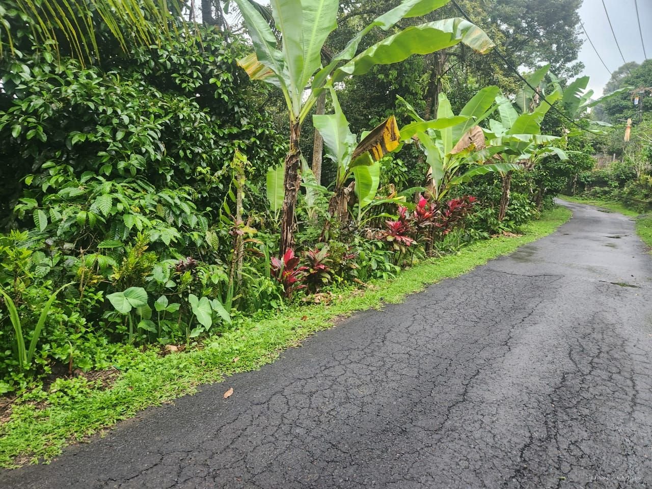 tanah antosari