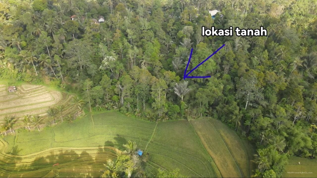 tanah antosari