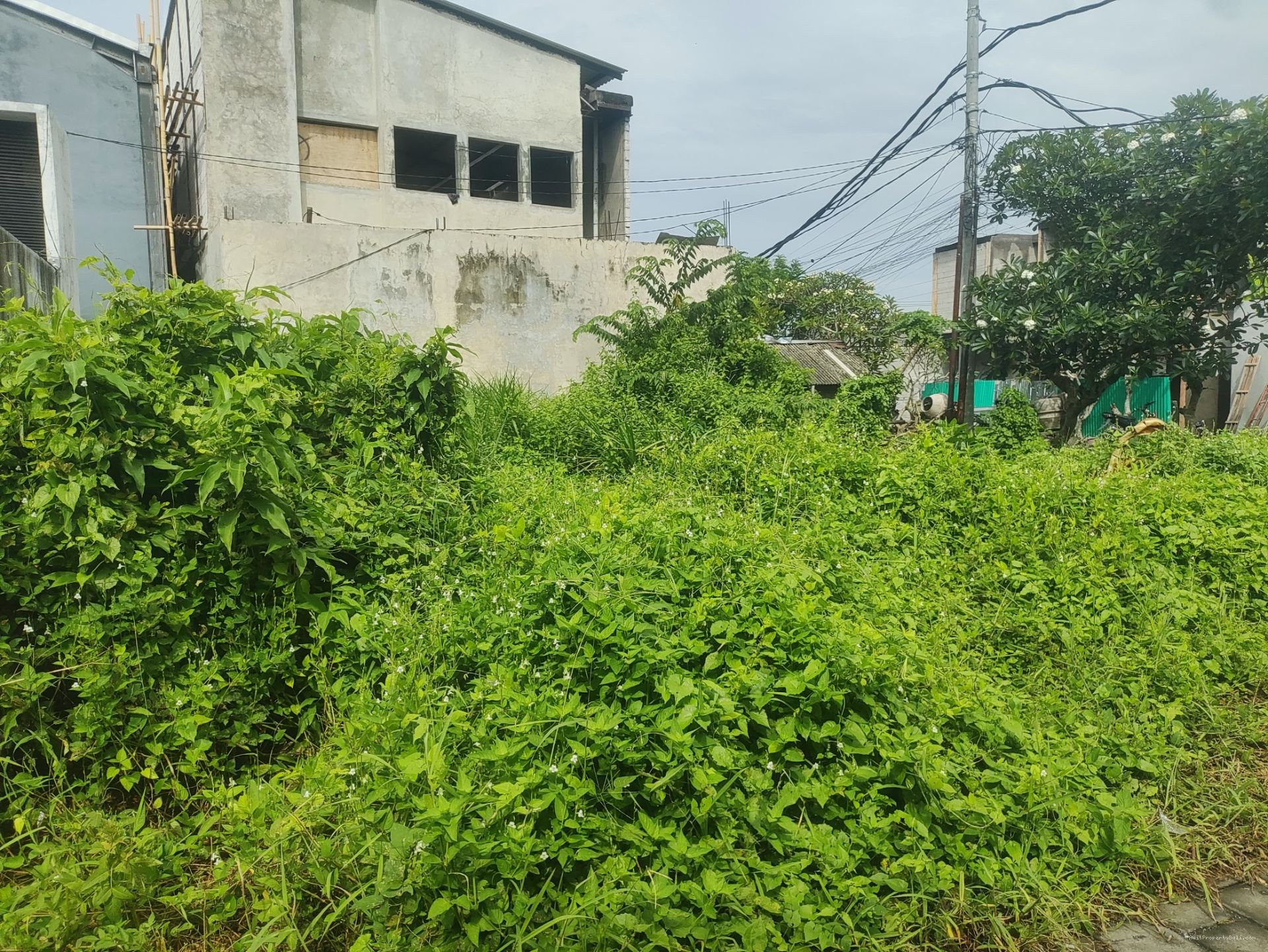 tanah pererenan bl