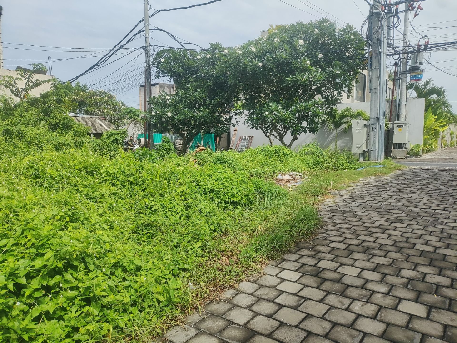 tanah pererenan bl
