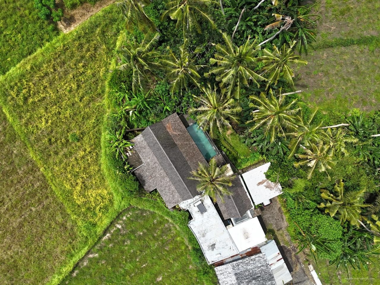 villa purnama