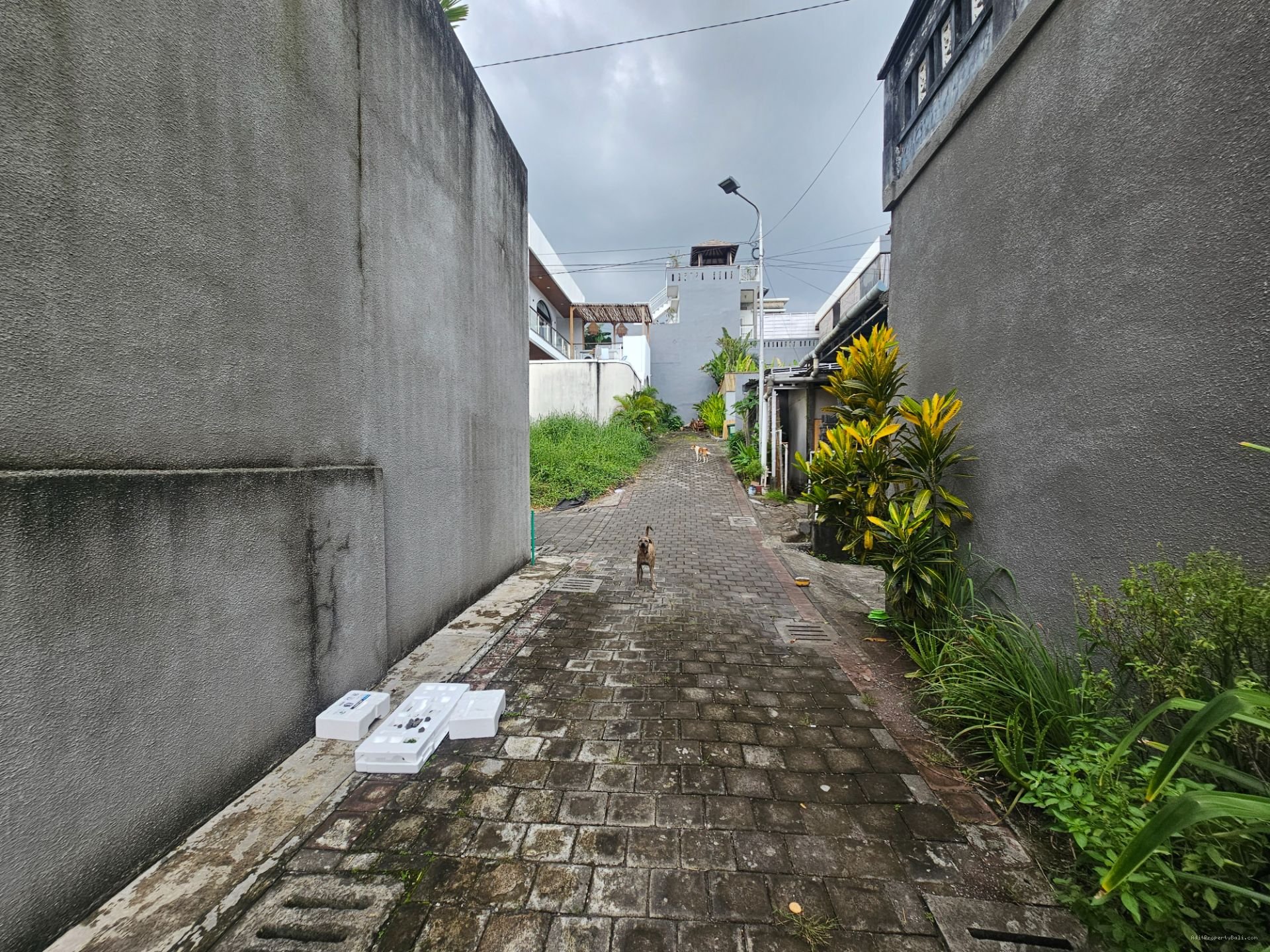 tanah budukkk