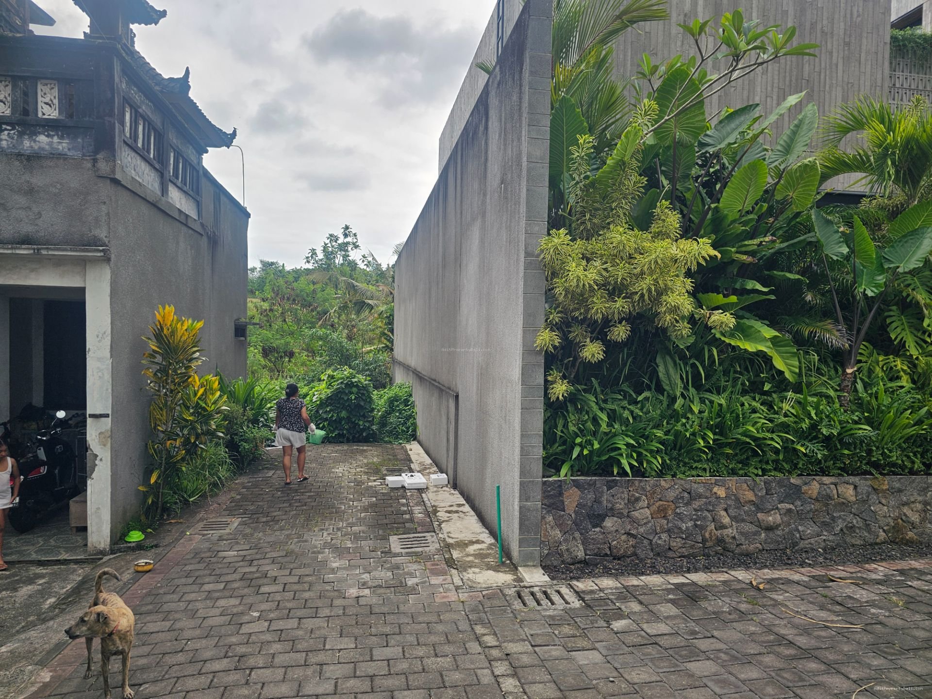 tanah budukkk