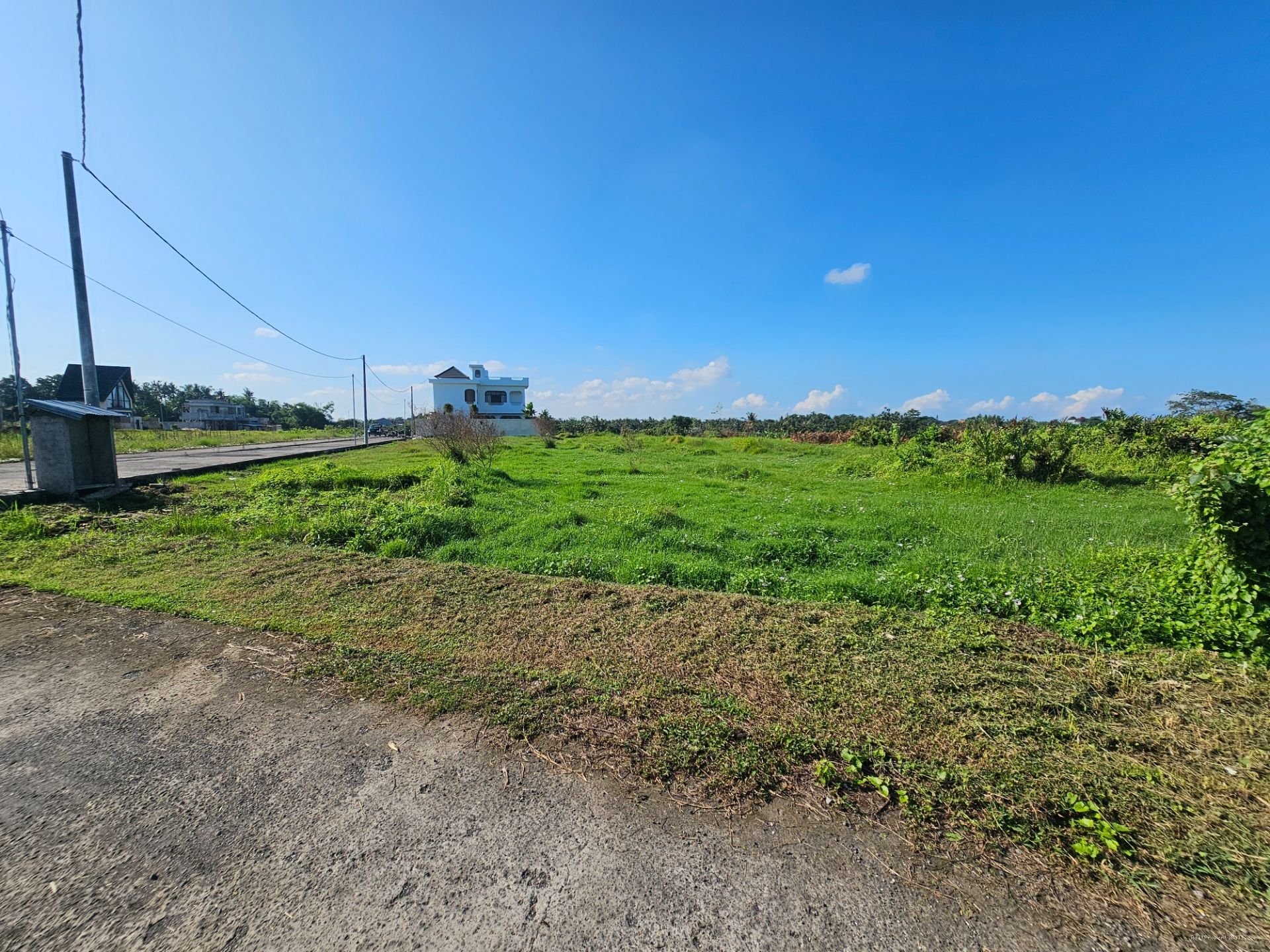 tanah kedungu B