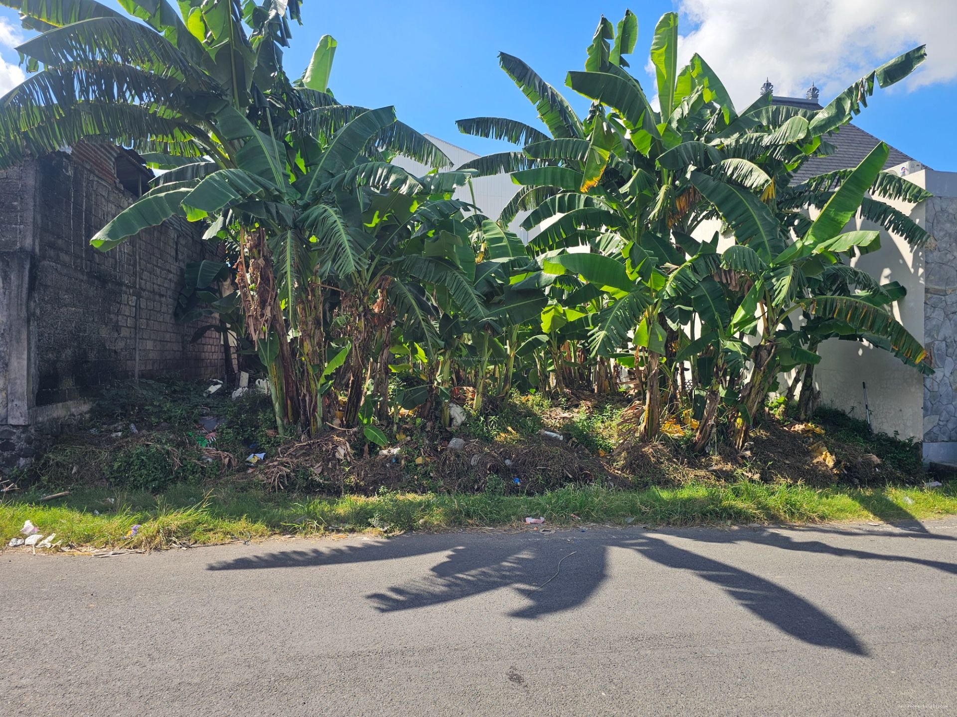 tanah legian