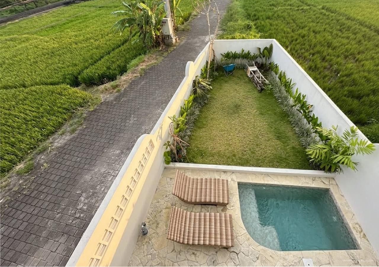 villa buduk abian base