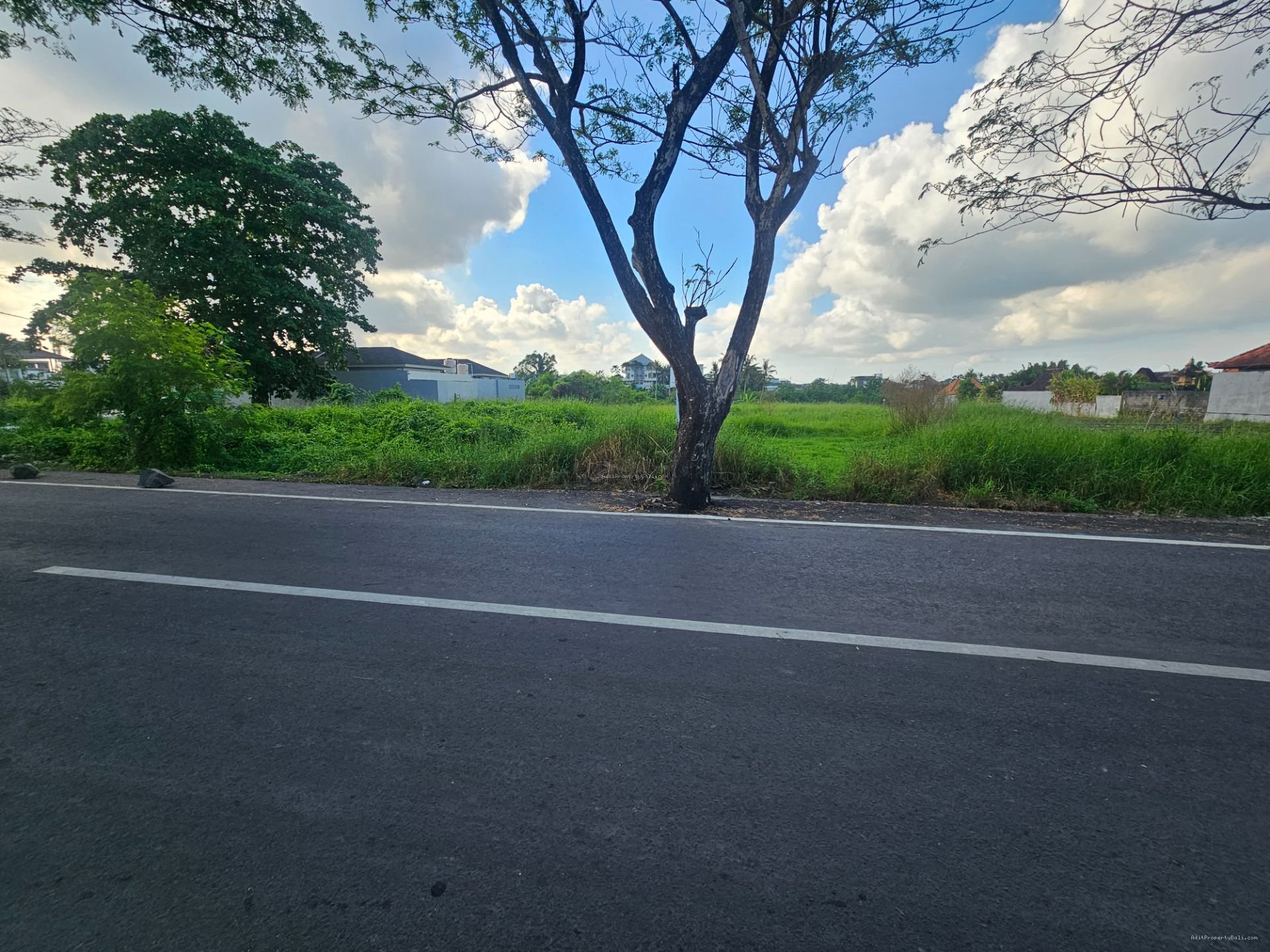 tanah premium sesehh