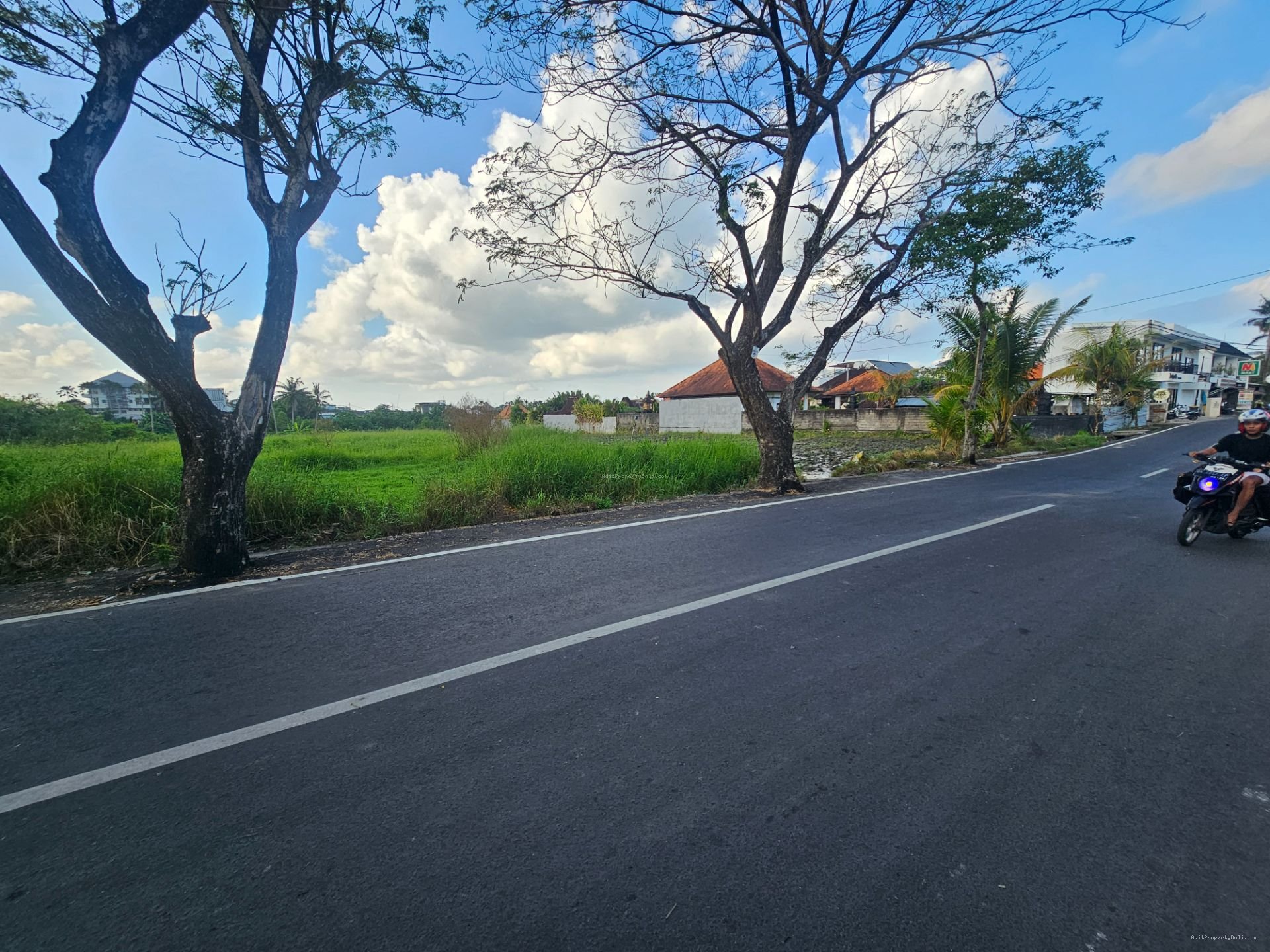 tanah premium sesehh