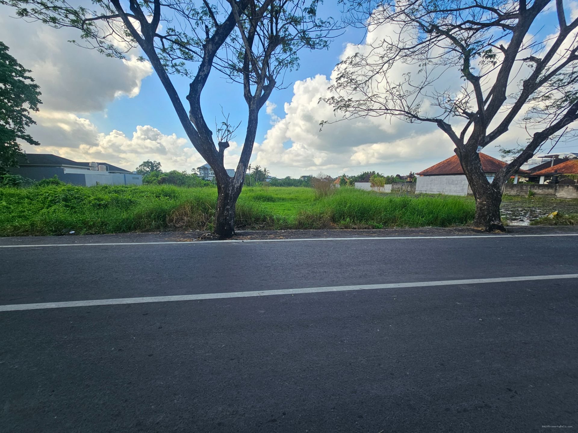 tanah premium sesehh