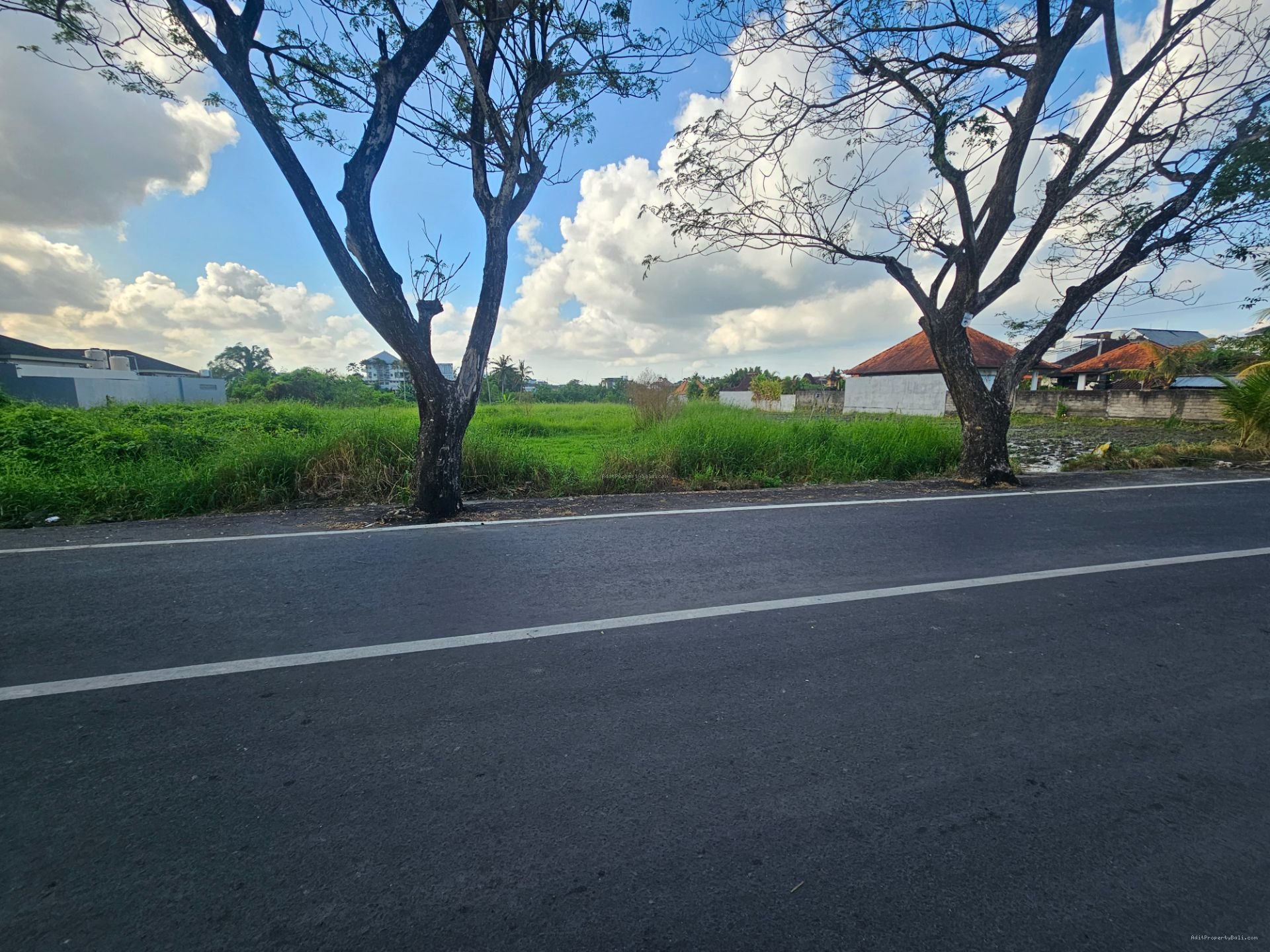 tanah premium sesehh