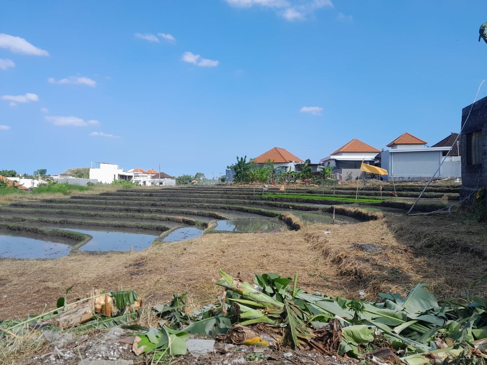 tanah canggu B