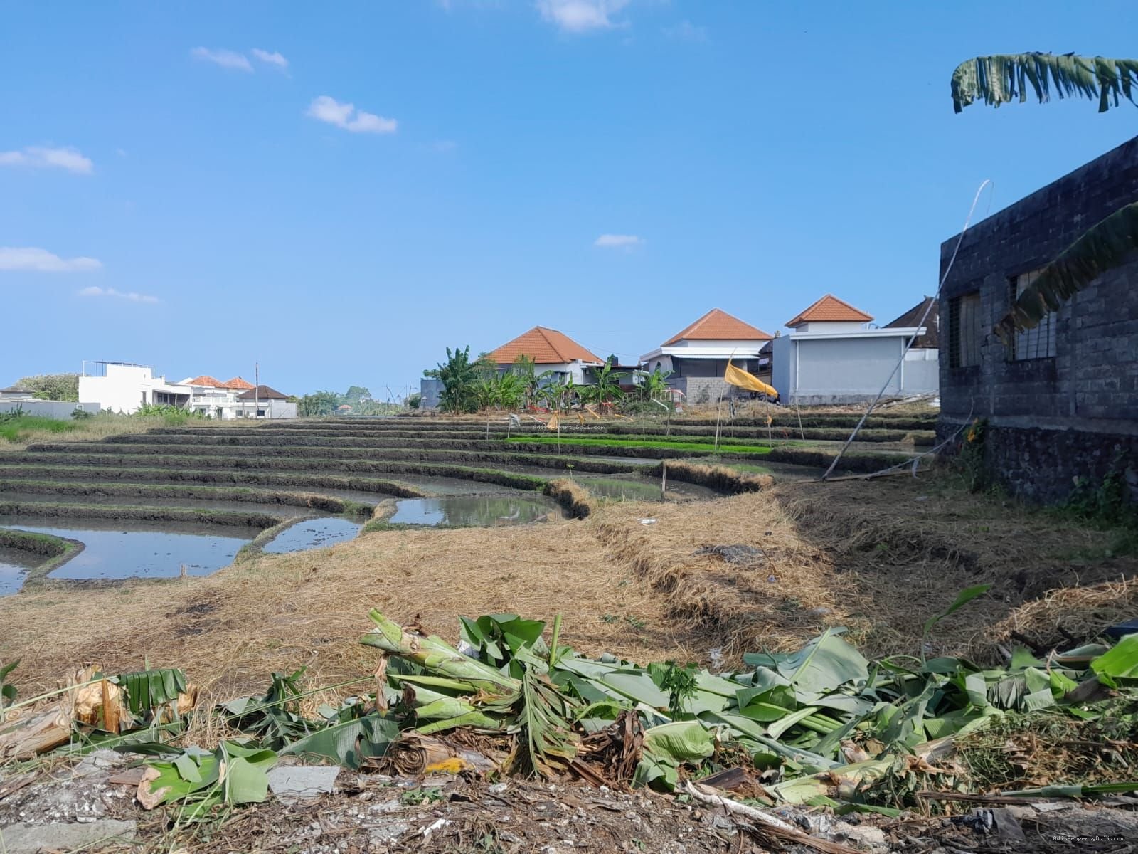 tanah canggu B