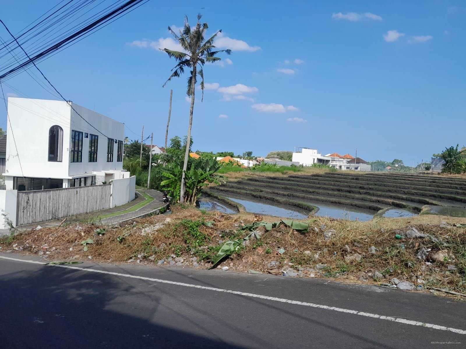 tanah canggu B