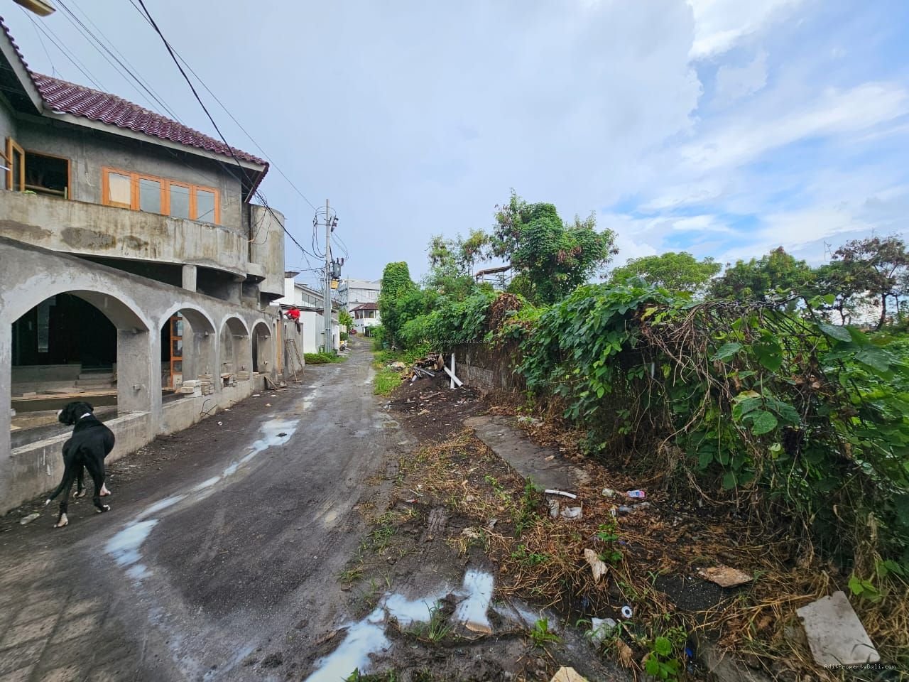 tanah canggu