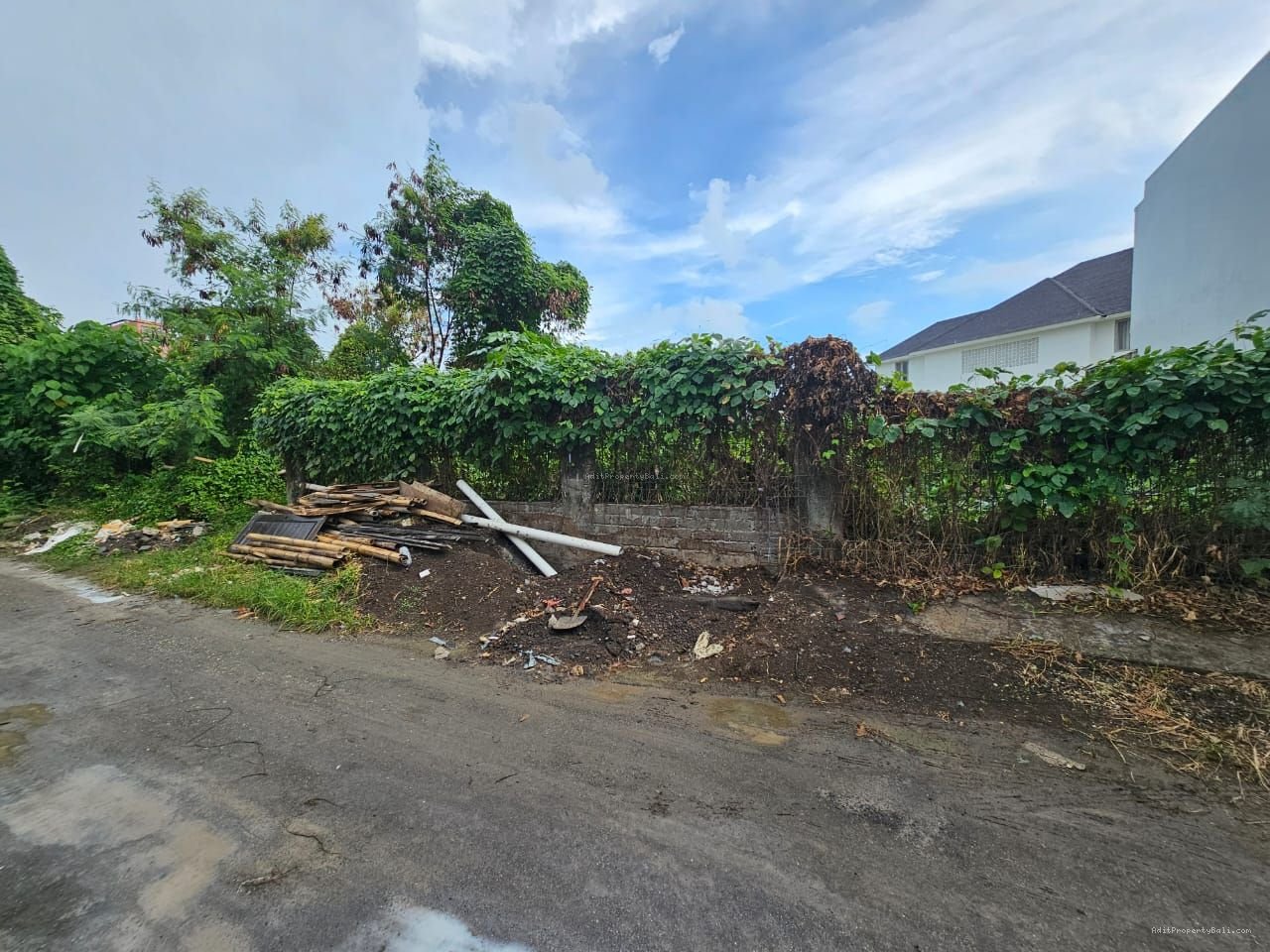 tanah canggu
