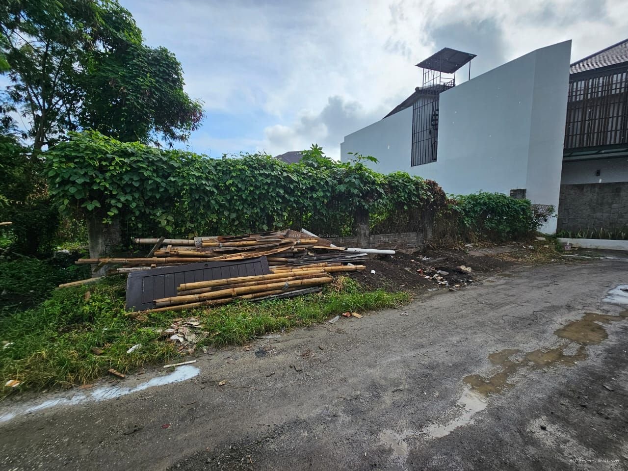 tanah canggu