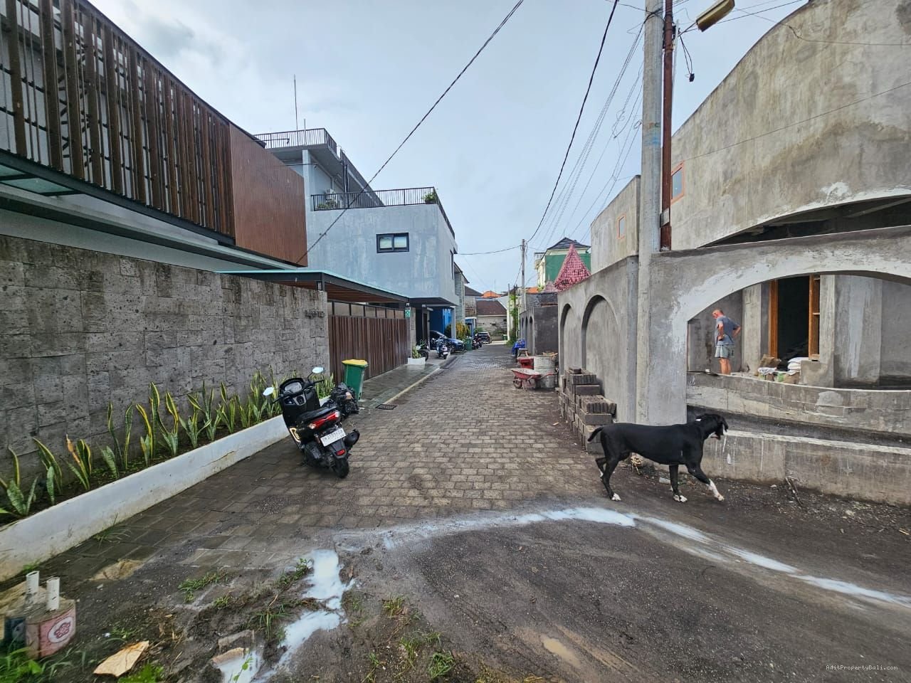 tanah canggu