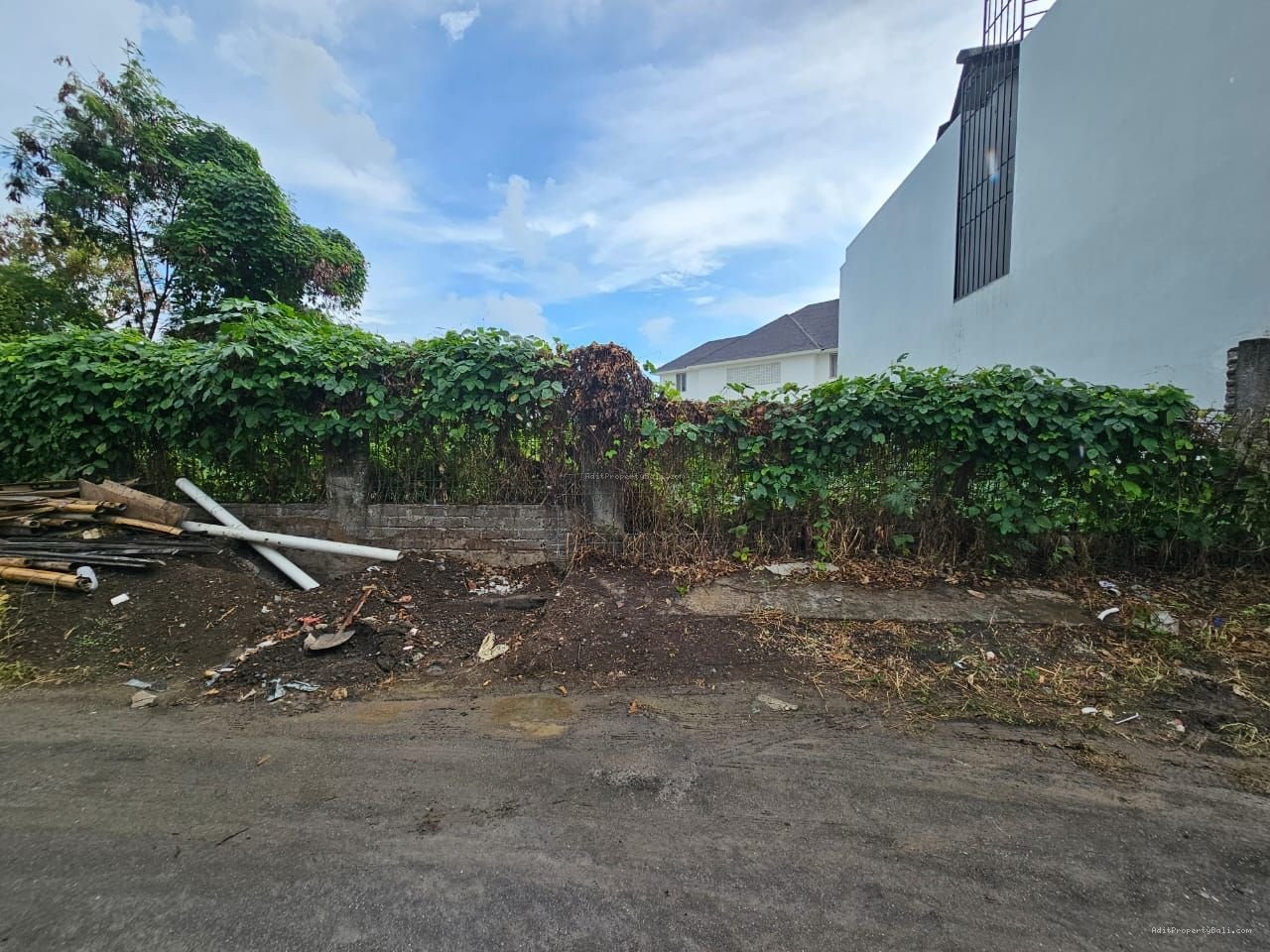 tanah canggu