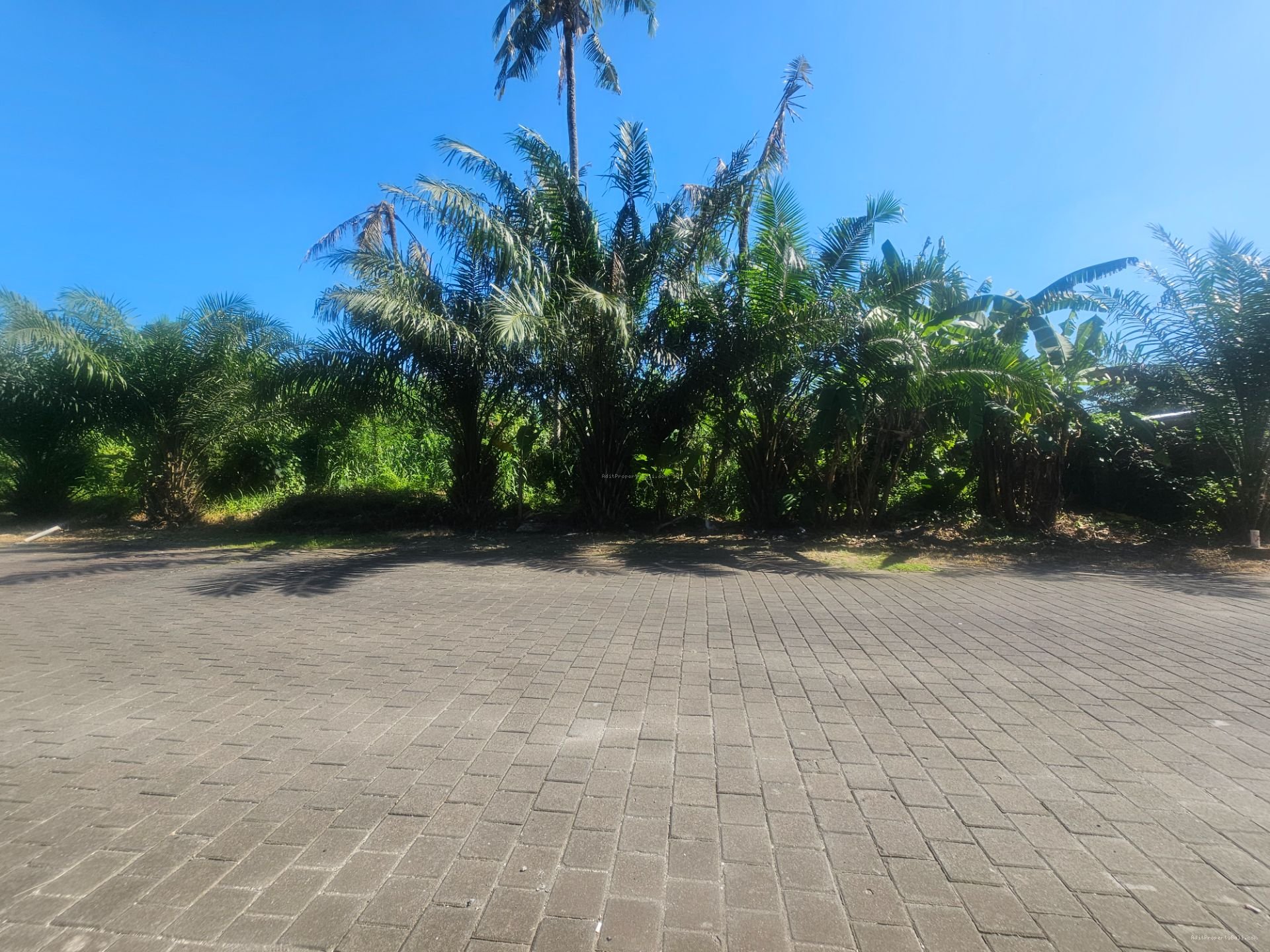 tanah greenlot munggu