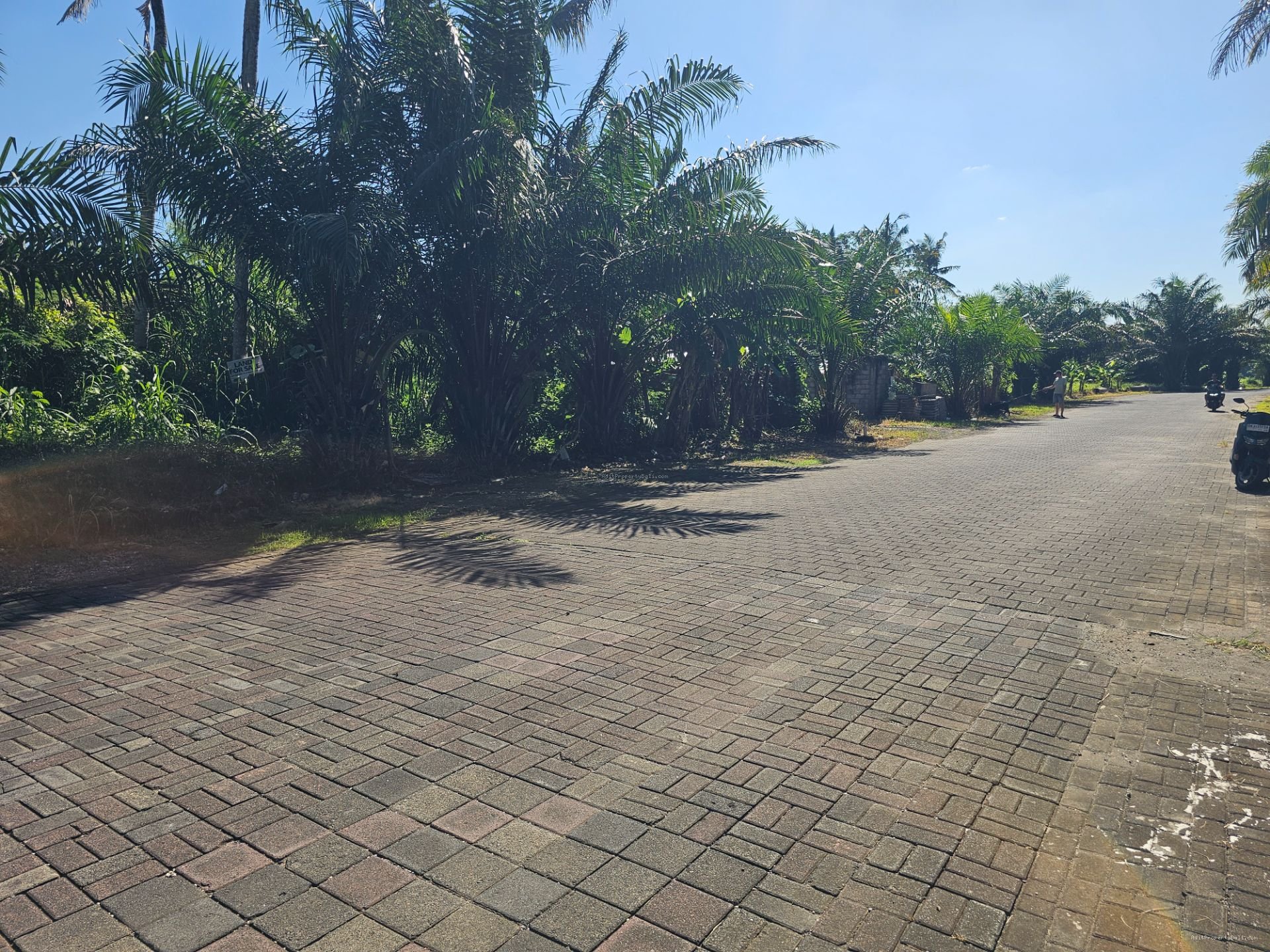 tanah greenlot munggu