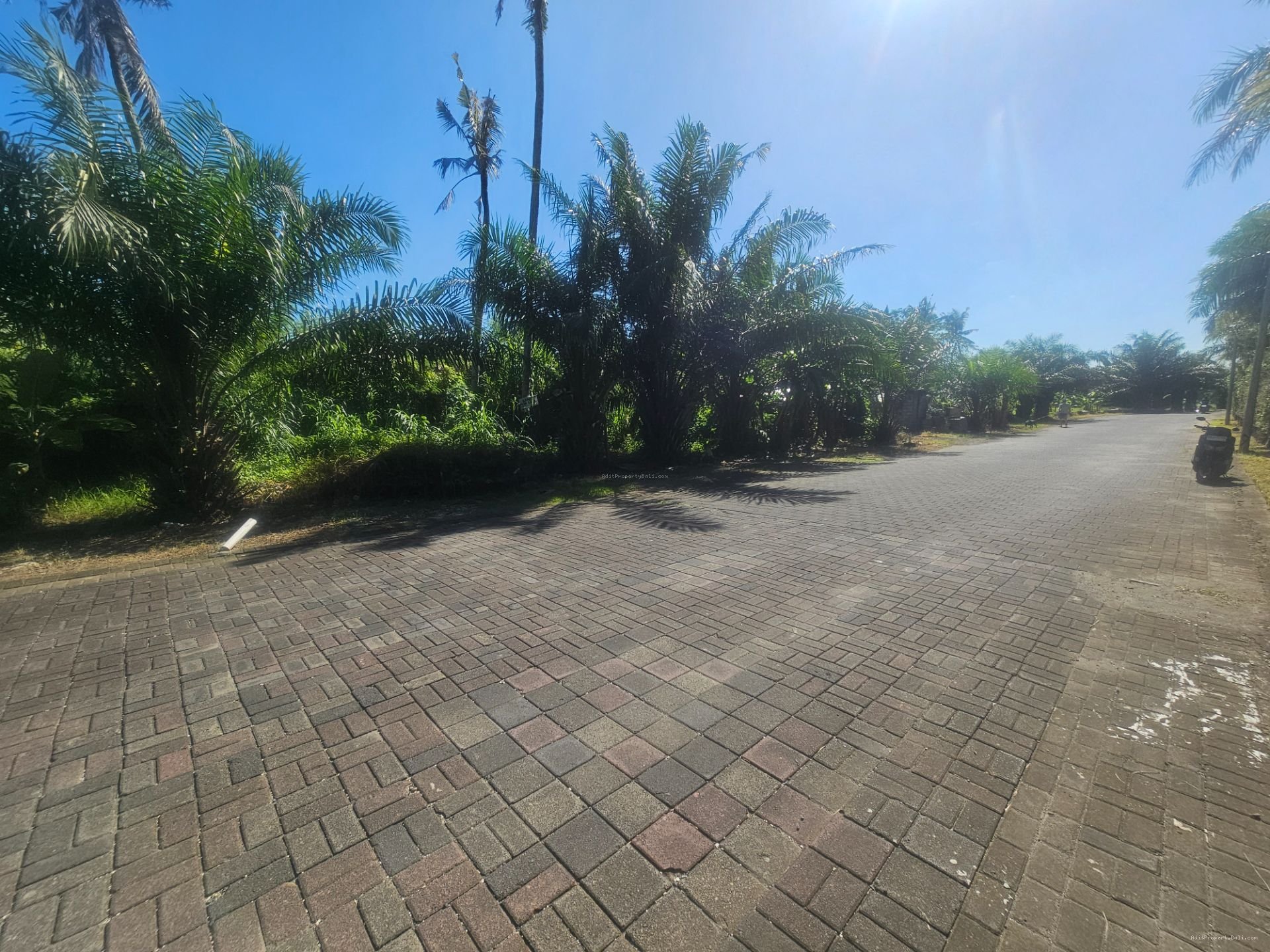 tanah greenlot munggu
