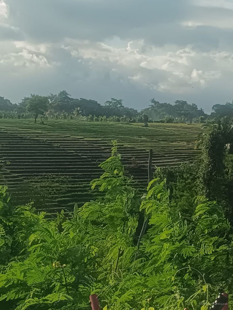 tanah greenlot munggu