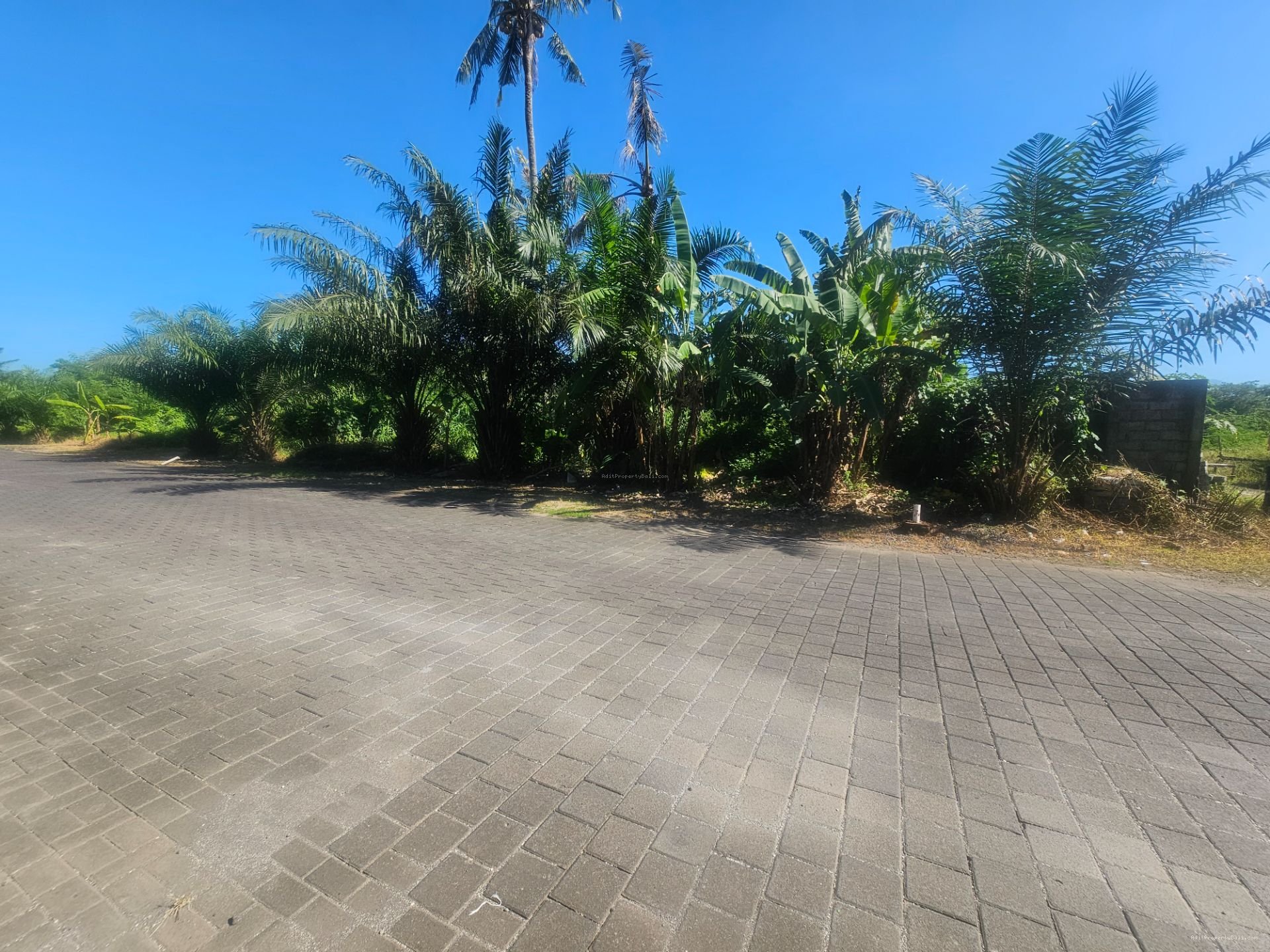 tanah greenlot munggu