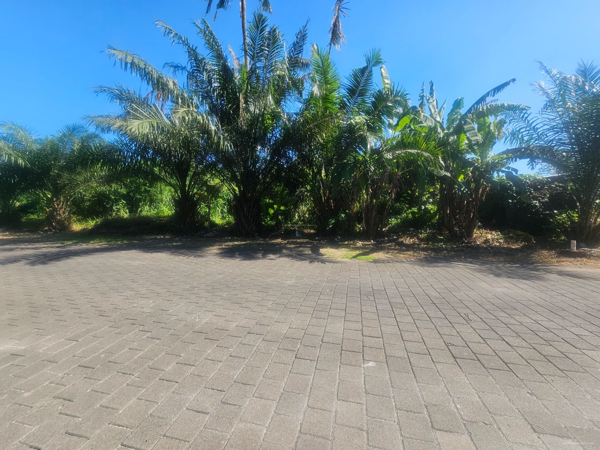 tanah greenlot munggu